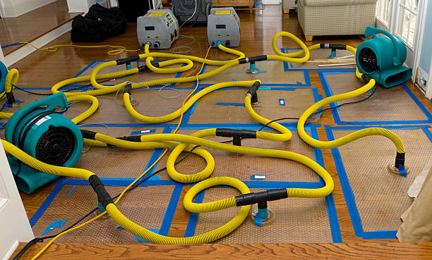 Professional Crawl Space Water Removal technician working in Flushing, NY